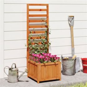 2-in-1 Wooden Raised Garden Bed with Trellis, Efficient Drainage System for Climbing Plants & Flowers