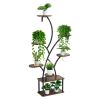 Plant Stand Indoor with Grow Lights, 62 in Tall 8-Tier Lighted Plant Shelf, Metal Corner Plants Holder, 3 Timer & 10 Brightness