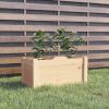 Garden Planter Natural Wood Solid pinewood Medium