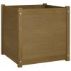 Garden Planter Set of 2 Honey brown Solid pinewood