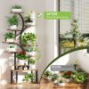 68.5" Tall 10-Tier Rack for Indoor Plants Plant Stand with 5 Grow Lights, S-Shaped Corner Plant Rack, Perfect for Living Room, Garden & Patio
