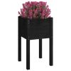 Garden Planter Set of 2 Black Solid pinewood 27.6 in high