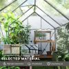 6' x 8' x 6.5' Polycarbonate Greenhouse