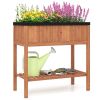 Wooden Raised Garden Bed with Storage Shelf and 220 LBS Capacity