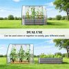 Mini greenhouse, garden bed, Clear and Dark Gray