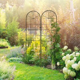 2 Pcs Garden Trellis for Climbing Plants, Outdoor Metal Trellis Plant Support Trellises for Patio, Lawn, Backyard (Color: Black)