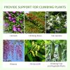 2 Pcs Garden Trellis for Climbing Plants, Outdoor Metal Trellis Plant Support Trellises for Patio, Lawn, Backyard